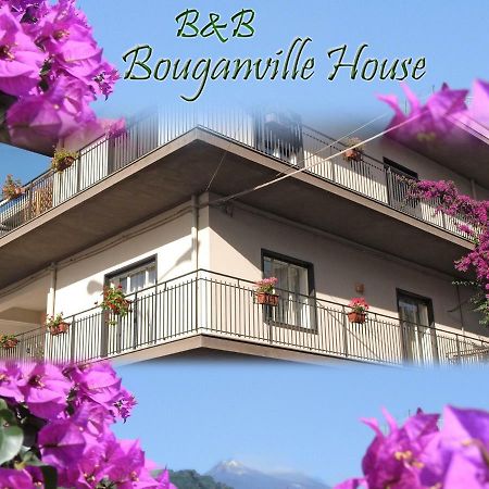 Bouganville House Zafferana Etnea Buitenkant foto